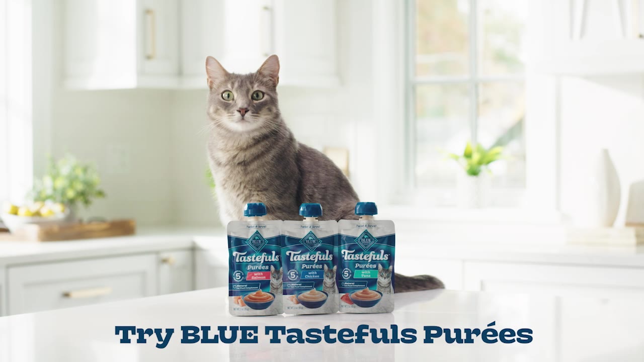 Cat seated behind Blue Buffalo Tastefuls Purées in a bright kitchen